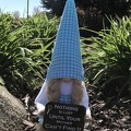 Mothers Day Gnome1